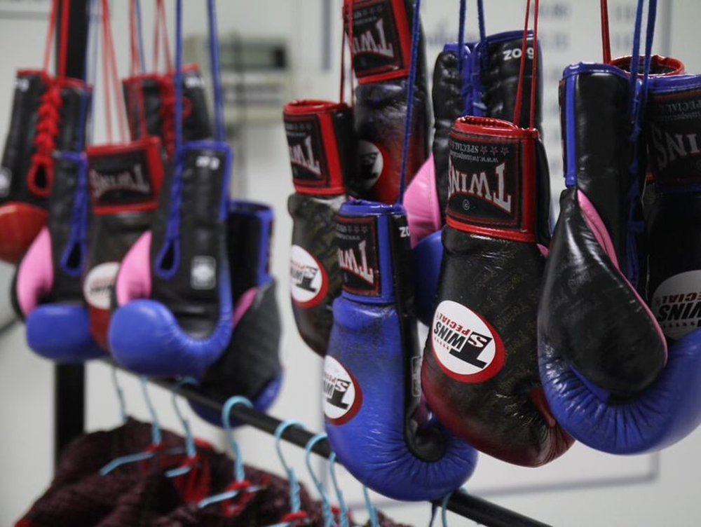 Boxing gloves