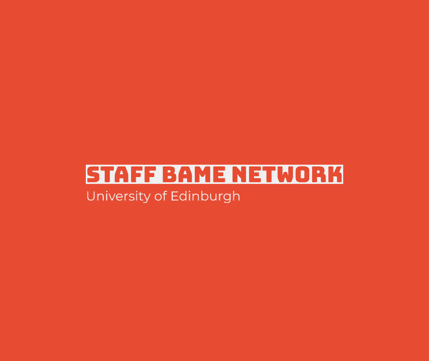 Staff BAME Network logo